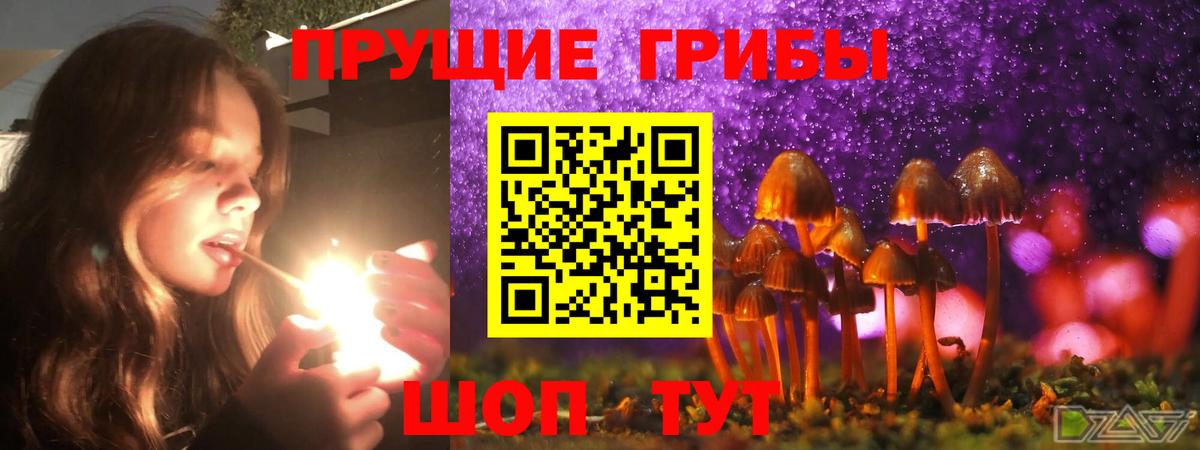 Батайск  Псилоцибиновые грибы Cubensis  Вход с VPN 